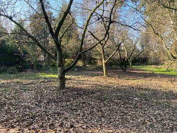 Venta Parcela 5000m2 Colonia Alemana Peñaflor