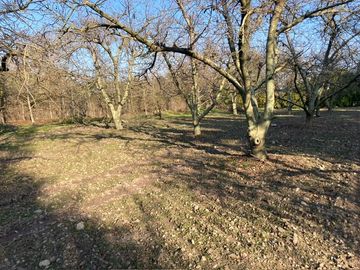 Venta Parcela 5000m2 Colonia Alemana Peñaflor