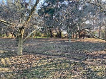 Venta Parcela 5000m2 Colonia Alemana Peñaflor