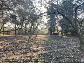 Venta Parcela 5000m2 Colonia Alemana Peñaflor