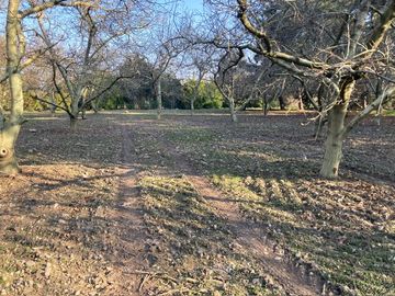 Venta Parcela 5000m2 Colonia Alemana Peñaflor