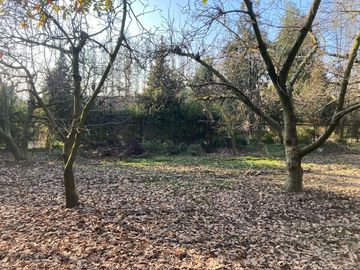 Venta Parcela 5000m2 Colonia Alemana Peñaflor