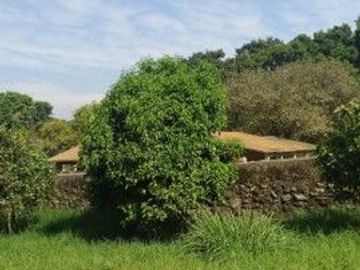 SE VENDE TERRENO RUSTICO