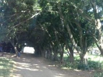 SE VENDE TERRENO RUSTICO