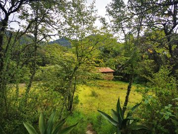 TERRENO EN VENTA, REAL DEL MONTE HGO. - EXCELENTE PARA CABAÑAS, ECOTURISMO O RESIDENCIA