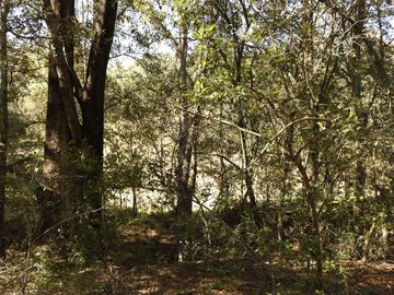 TERRENO EN VENTA, REAL DEL MONTE HGO. - EXCELENTE PARA CABAÑAS, ECOTURISMO O RESIDENCIA