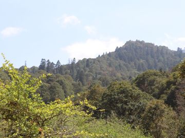 TERRENO EN VENTA, REAL DEL MONTE HGO. - EXCELENTE PARA CABAÑAS, ECOTURISMO O RESIDENCIA