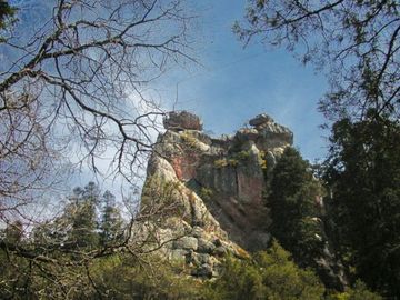 TERRENO EN VENTA, REAL DEL MONTE HGO. - EXCELENTE PARA CABAÑAS, ECOTURISMO O RESIDENCIA