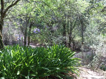 TERRENO EN VENTA, REAL DEL MONTE HGO. - EXCELENTE PARA CABAÑAS, ECOTURISMO O RESIDENCIA