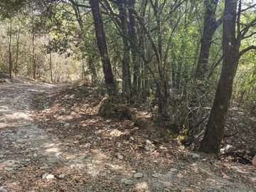 TERRENO EN VENTA, REAL DEL MONTE HGO. - EXCELENTE PARA CABAÑAS, ECOTURISMO O RESIDENCIA