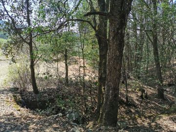 TERRENO EN VENTA, REAL DEL MONTE HGO. - EXCELENTE PARA CABAÑAS, ECOTURISMO O RESIDENCIA