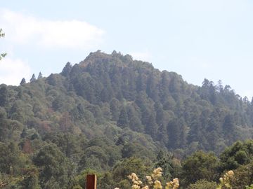 TERRENO EN VENTA, REAL DEL MONTE HGO. - EXCELENTE PARA CABAÑAS, ECOTURISMO O RESIDENCIA