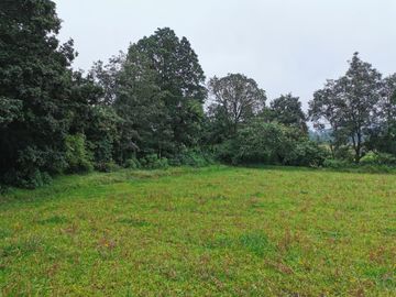 TERRENO EN VENTA, REAL DEL MONTE HGO. - EXCELENTE PARA CABAÑAS, ECOTURISMO O RESIDENCIA
