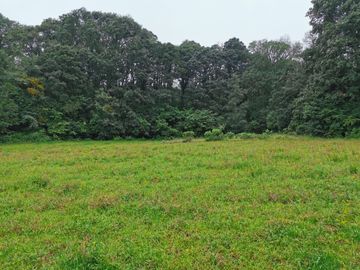 TERRENO EN VENTA, REAL DEL MONTE HGO. - EXCELENTE PARA CABAÑAS, ECOTURISMO O RESIDENCIA