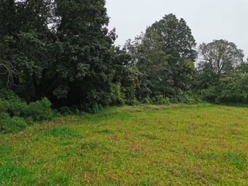 TERRENO EN VENTA, REAL DEL MONTE HGO. - EXCELENTE PARA CABAÑAS, ECOTURISMO O RESIDENCIA