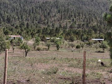 Cabaña en Venta en la Sierra de Arteaga, Coahuila a 4.2 km del Pueblo Mágico de Los Lirios
