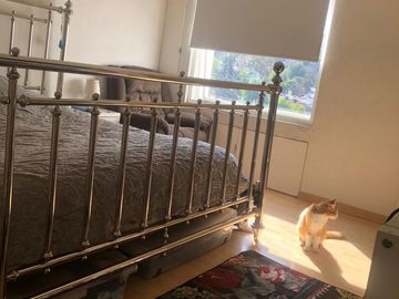 322 M2, PENTHOUSE 2 NIVELES, 3 CAJONES TECHADOS, FUENTES DE SATÉLITE