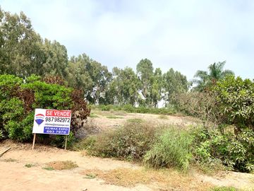VENTA TERRENO CONDOMINIO PACHACAMAC, FUNDO SAN FERNANDO