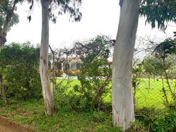 VENTA TERRENO CONDOMINIO PACHACAMAC, FUNDO SAN FERNANDO