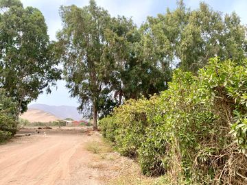 VENTA TERRENO CONDOMINIO PACHACAMAC, FUNDO SAN FERNANDO