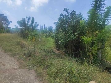 HOUSE AND LOT NEAR PICNIC GROVE AND PEOPLE'S PARK TAGAYTAY Cavite