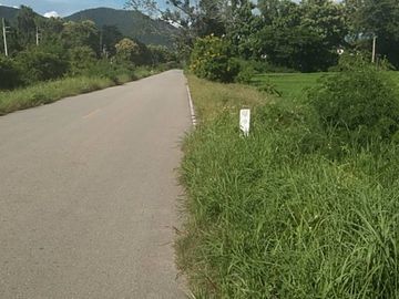 A large plot of land for sale in Sankhampeang, Chiang Mai