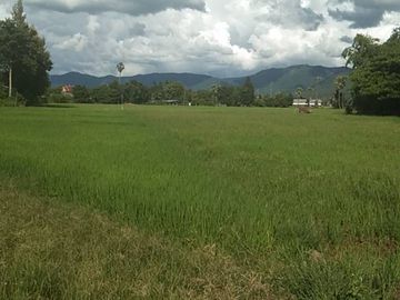 A large plot of land for sale in Sankhampeang, Chiang Mai