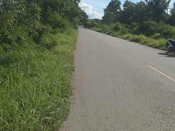 A large plot of land for sale in Sankhampeang, Chiang Mai