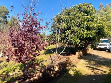 CASA DE CAMPO SECTOR QUINTA CHILE, CURANIPE