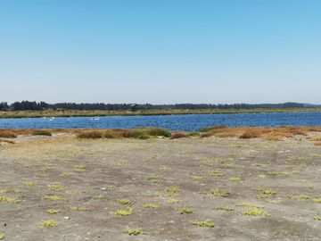 El Convento, Laguna Matanzas, Preciosa Parcela con Excelente Vista