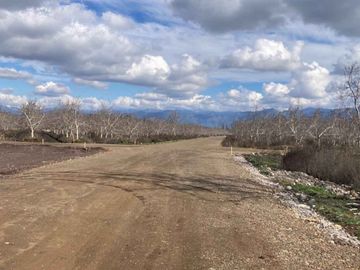 Venta Parcela 5000m2 Martina I, Lonquen
