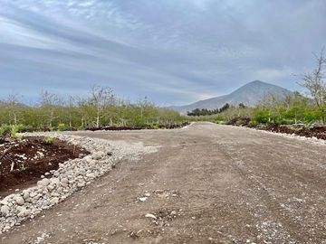 Venta Parcela 5000m2 Martina I, Lonquen