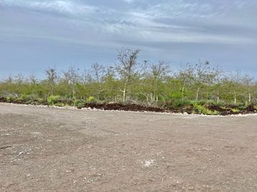 Venta Parcela 5000m2 Martina I, Lonquen