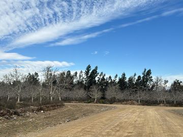 Venta Parcela 5000m2 Martina I, Lonquen