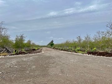 Venta Parcela 5000m2 Martina I, Lonquen