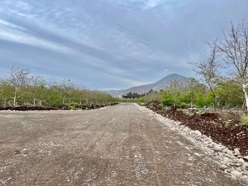 Venta Parcela 5000m2 Martina I, Lonquen