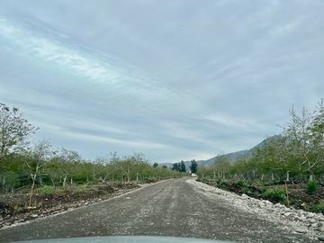 Venta Parcela 5000m2 Martina I, Lonquen