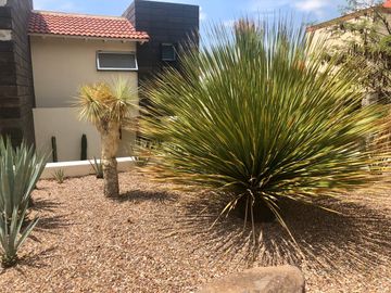 Casa en Venta de tres recamaras y amplio jardín en Vista Real