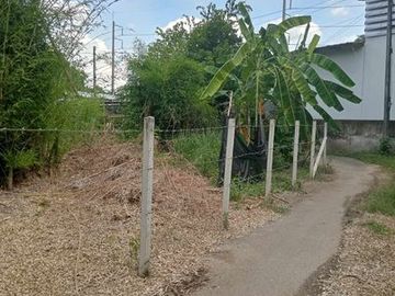 Land sale 2ngan 2.2MB, utility, outer ring road, Tha Wang Tan, Saraphi, Chiang Mai