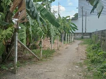 Land sale 2ngan 2.2MB, utility, outer ring road, Tha Wang Tan, Saraphi, Chiang Mai