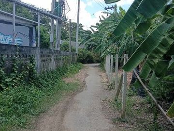 Land sale 2ngan 2.2MB, utility, outer ring road, Tha Wang Tan, Saraphi, Chiang Mai
