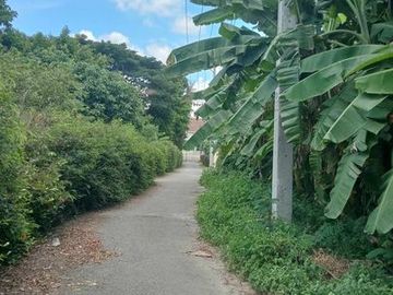 Land sale 2ngan 2.2MB, utility, outer ring road, Tha Wang Tan, Saraphi, Chiang Mai