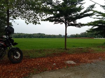 2 Ha Sawah Untuk  Perumahan Subsidi, Jalan Gunung Sari, Majalengka, Jawa Barat.