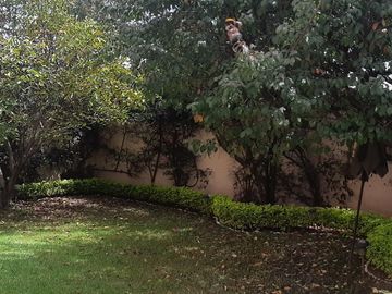 GC HACIENDA DEL BOSQUE, casa en venta, METEPEC