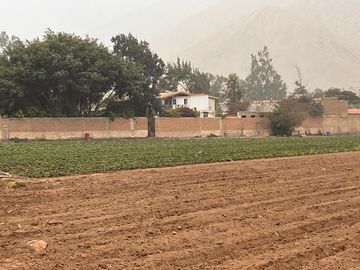 VENTA TERRENO SEMIRUSTICO DE 24,933.75 M2. AV. NUEVA TOLEDO PRIMERA ETAPA. - CIENEGUILLA.