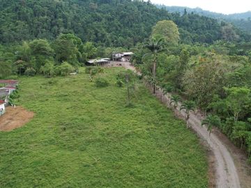 Vendo Hacienda de 312 Hectáreas, Parroquia San Mateo, Cantón Esmeraldas.