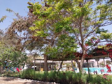 VENTA 4 HTS POCOLLAY TACNA