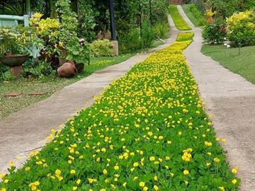 Tagaytay Vacation Farm Home for sale with 3360sqm Lot Area -Clean Title
