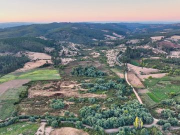 Se vende campo en sector de Paredones, 45,61há, cercano a Lago Vichuquén