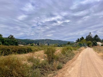 Se vende campo en sector de Paredones, 45,61há, cercano a Lago Vichuquén